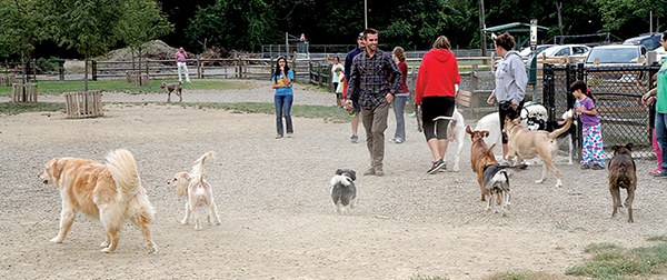 Dog Park, Carnegie, PA